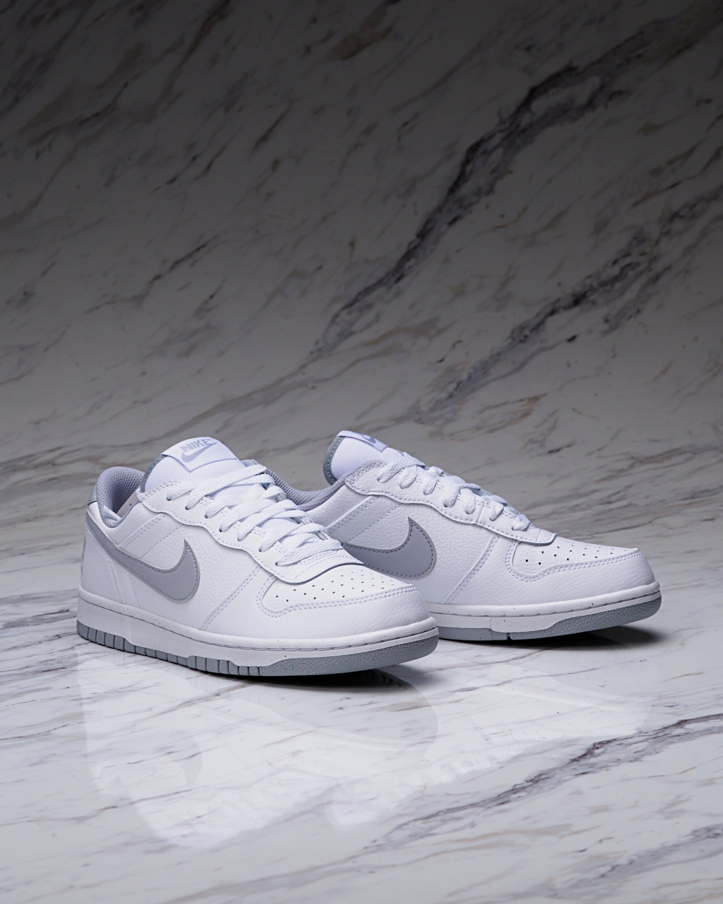 BIG NIKE LOW / GREY