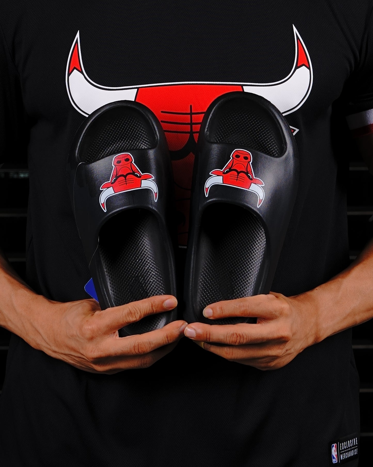 SLIDE NBA CHICAGO BULLS