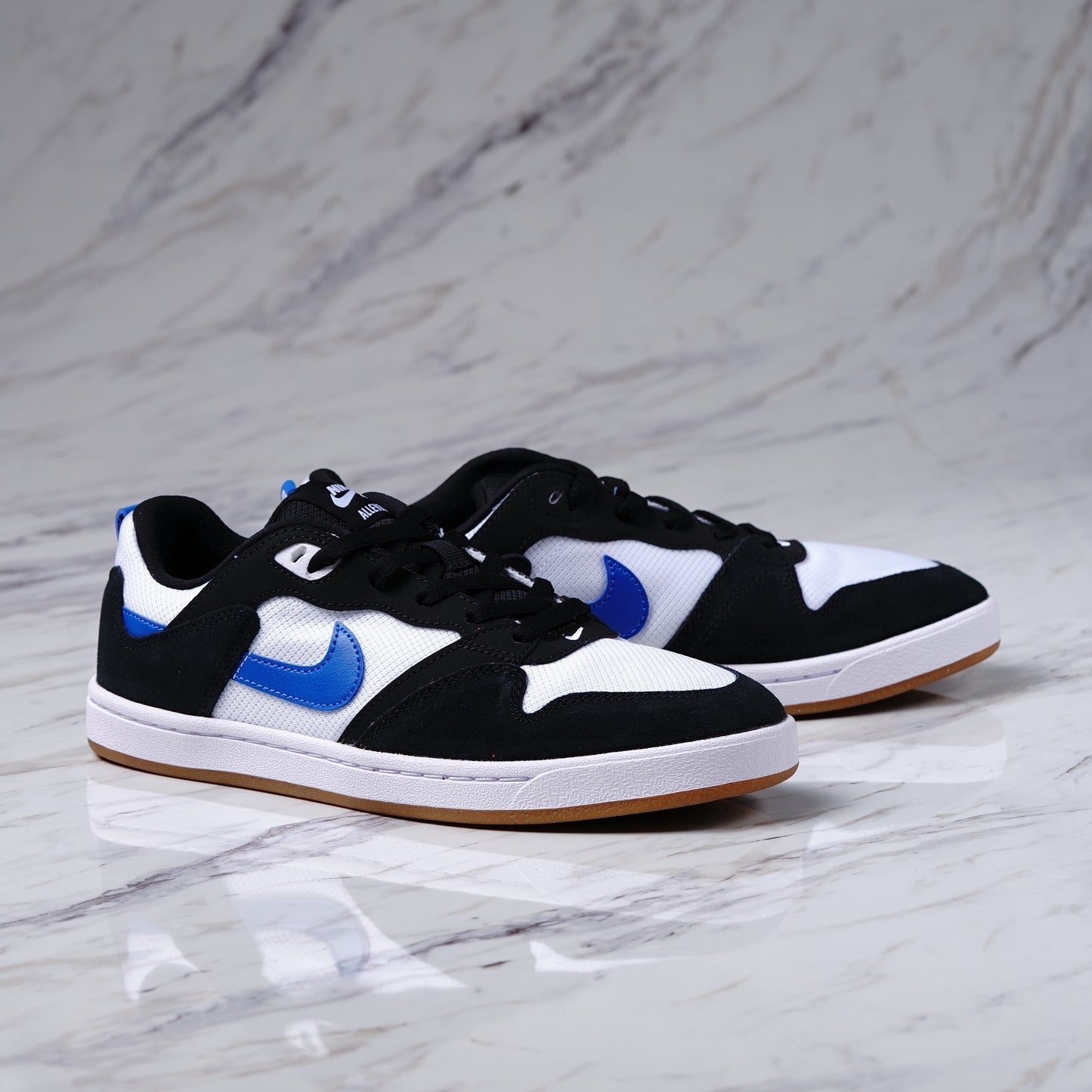 NIKE SB ALLEYOOP