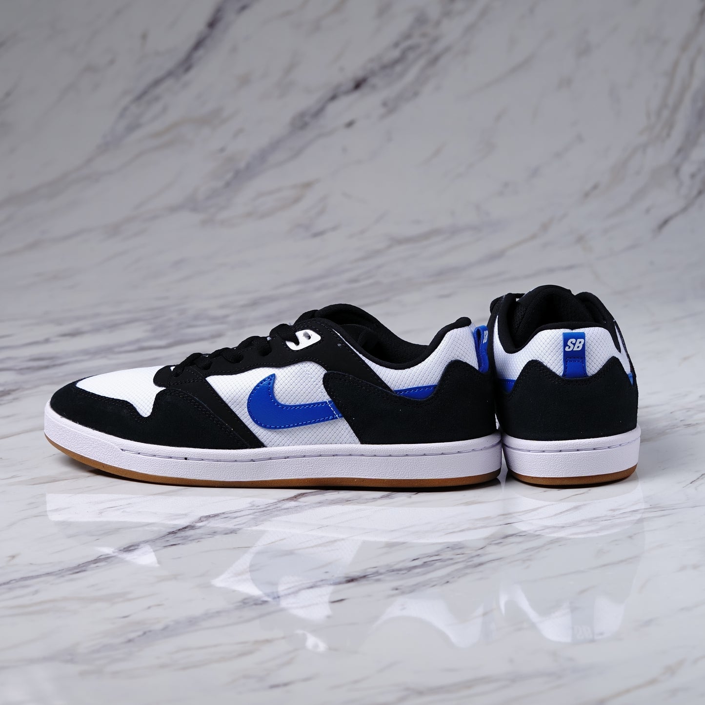 NIKE SB ALLEYOOP