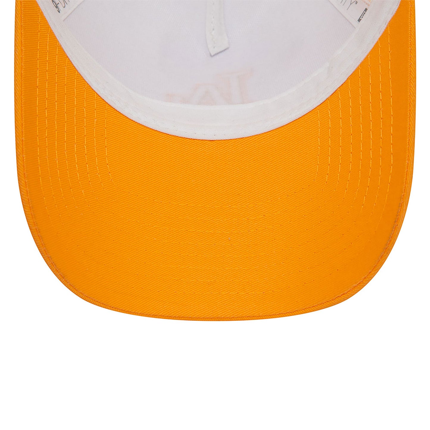 GORRA NEW ERA - STYLE ACTIVIST TRUCKER LOSDODCO PSMPIN