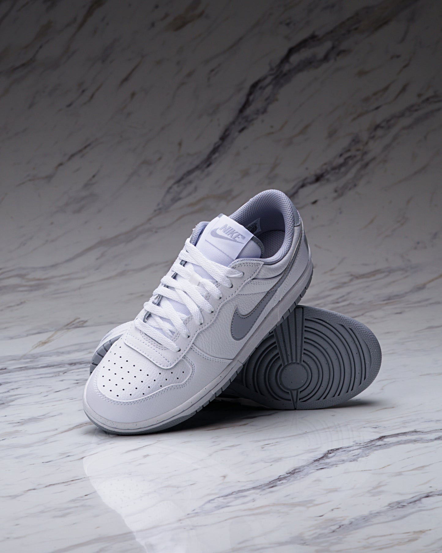BIG NIKE LOW / GREY
