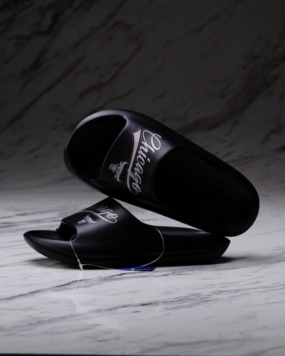 SLIDE NBA CHICAGO BULLS