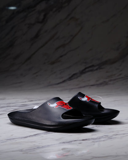 SLIDE NBA CHICAGO BULLS