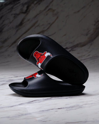 SLIDE NBA CHICAGO BULLS