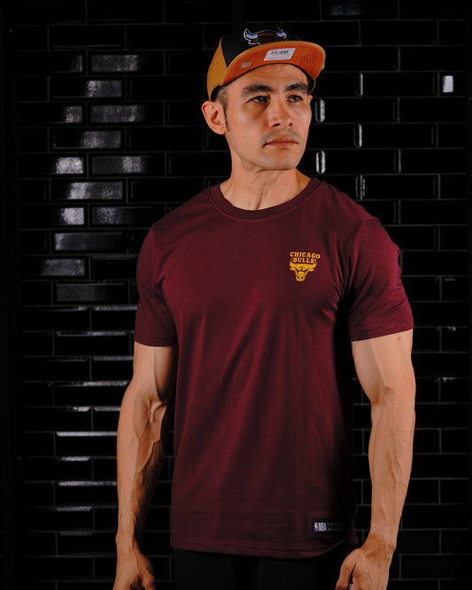 CAMISETA NBA CHICAGO BULLS