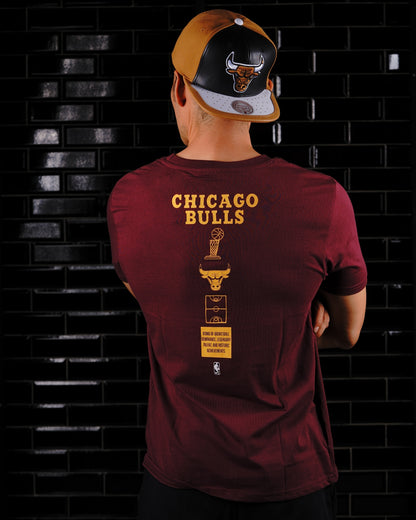 CAMISETA NBA CHICAGO BULLS