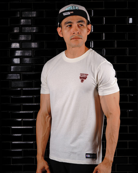 CAMISETA NBA CHICAGO BULLS