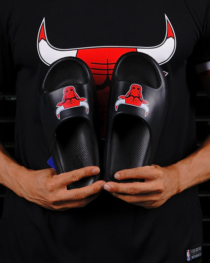 SLIDE NBA CHICAGO BULLS