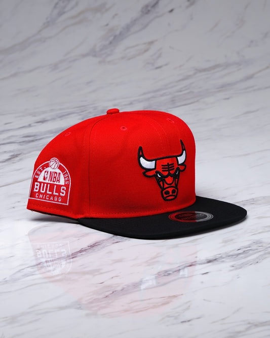 GORRA NBA CHICAGO BULLS
